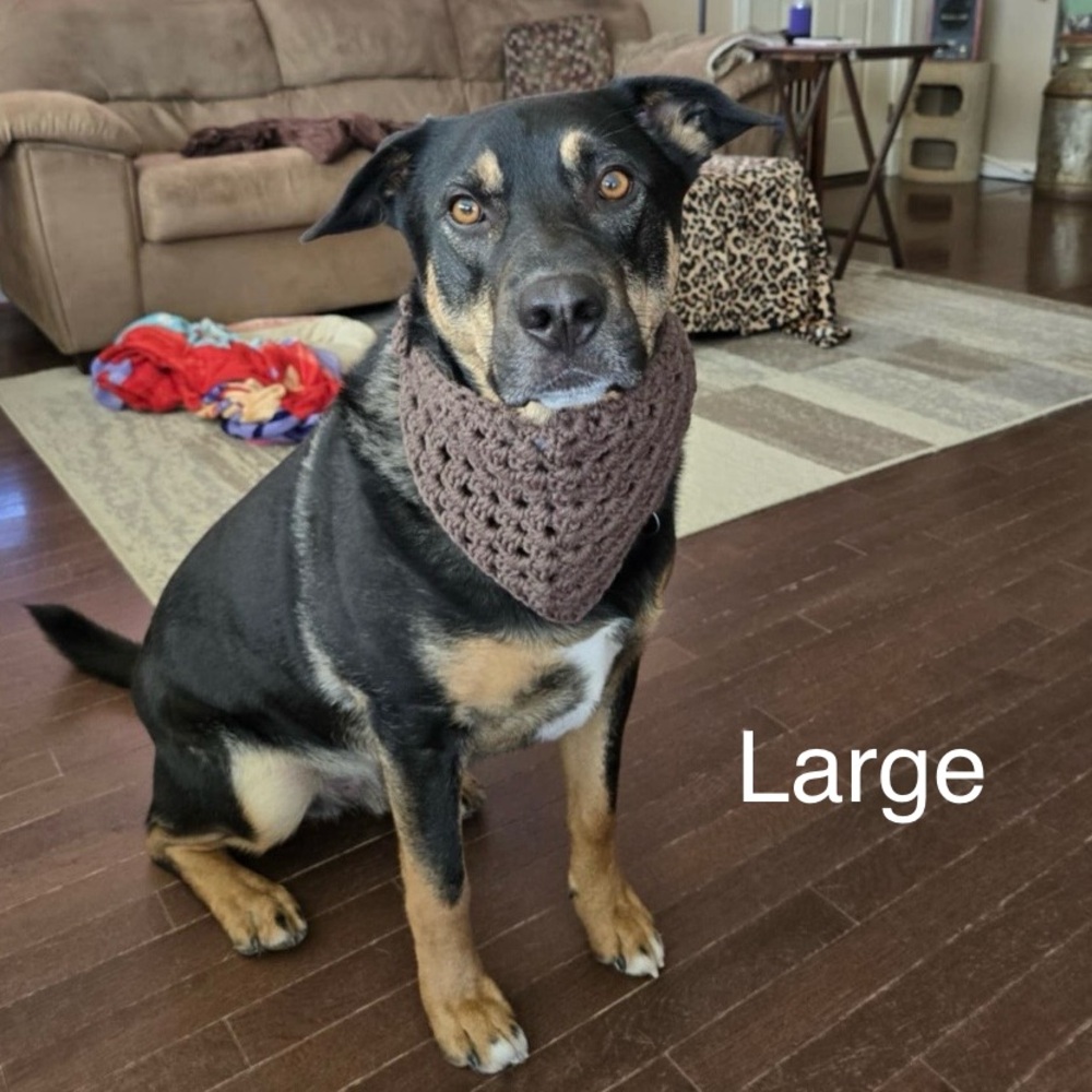 Crochet Pet Bandana Custom Order Listing - Picture 4 of 10